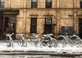 Bushwick